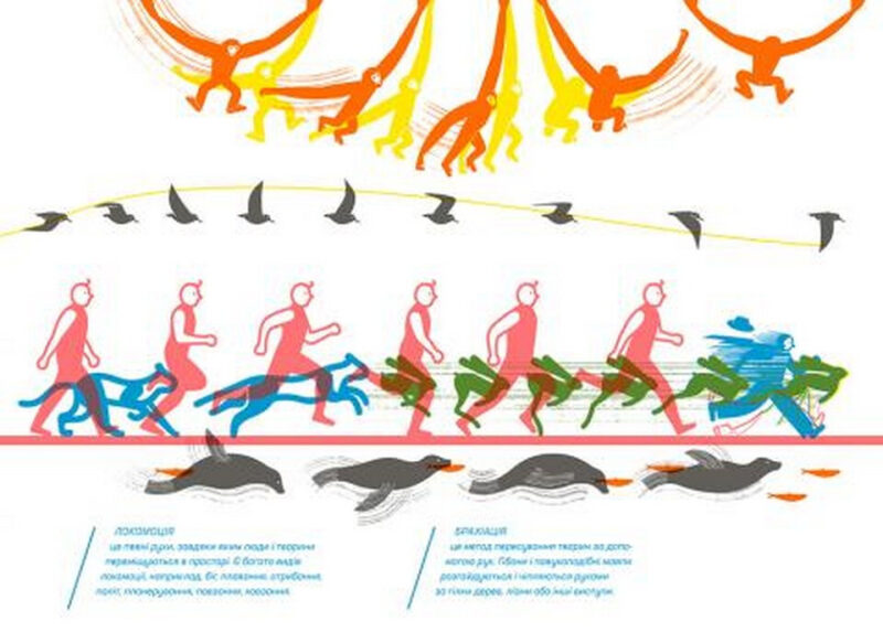 A Book for children Migrant Refugee "Where and from where?" - Image 10