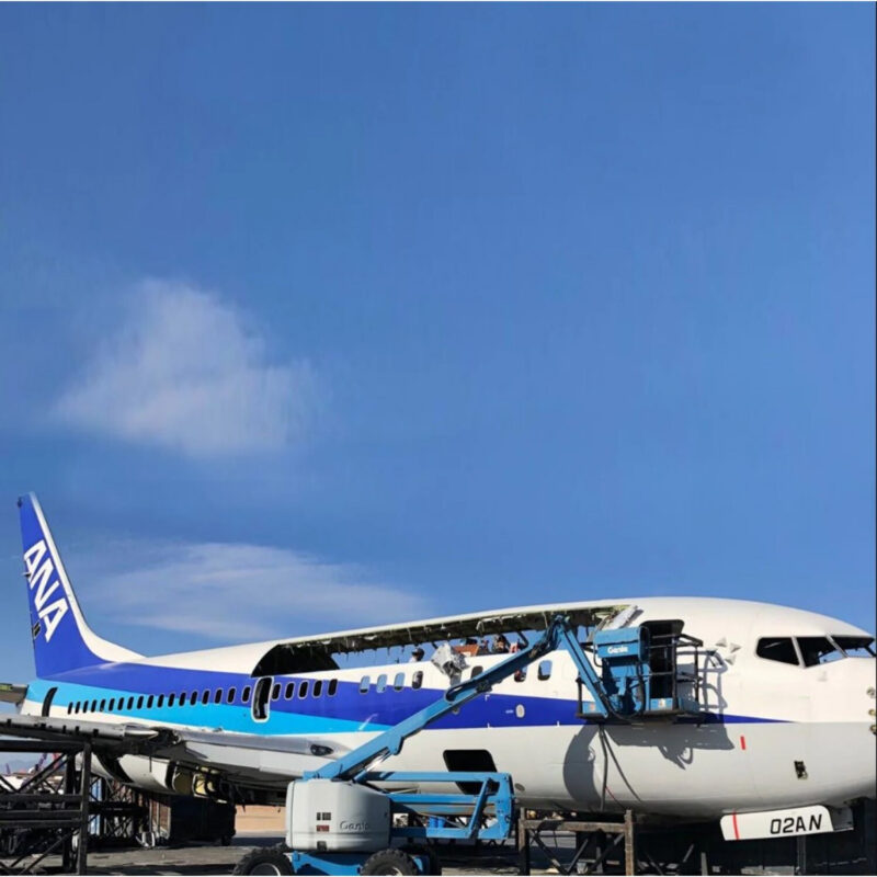 Fuselage Aircraft Original Skin Tag Keychain Tag Boeing 737 ANA - Image 7